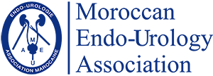 AMEU - Association Marocaine d Endo-Urologie